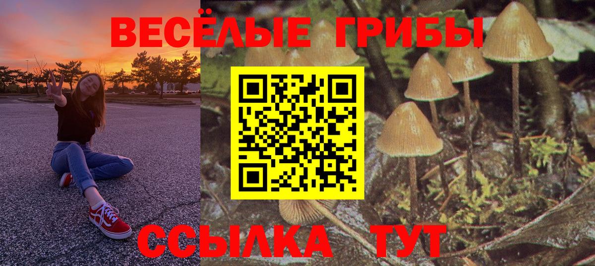 Галлюциногенные грибы прущие грибы Нижневартовск